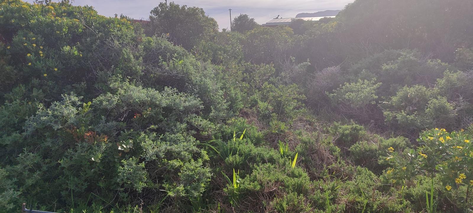 654 m² Land available in Franskraal