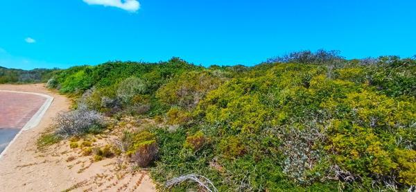 1 447 m² Land available in Moquini Coastal Estate
