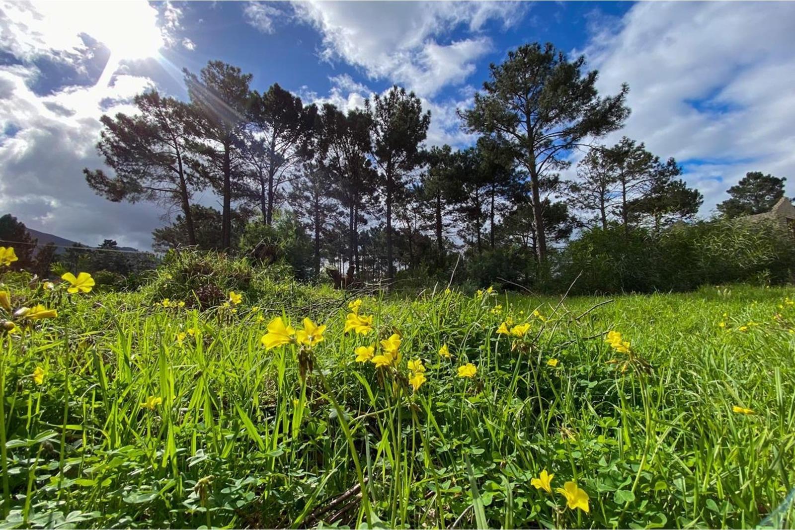 595 m² Land available in Bot River