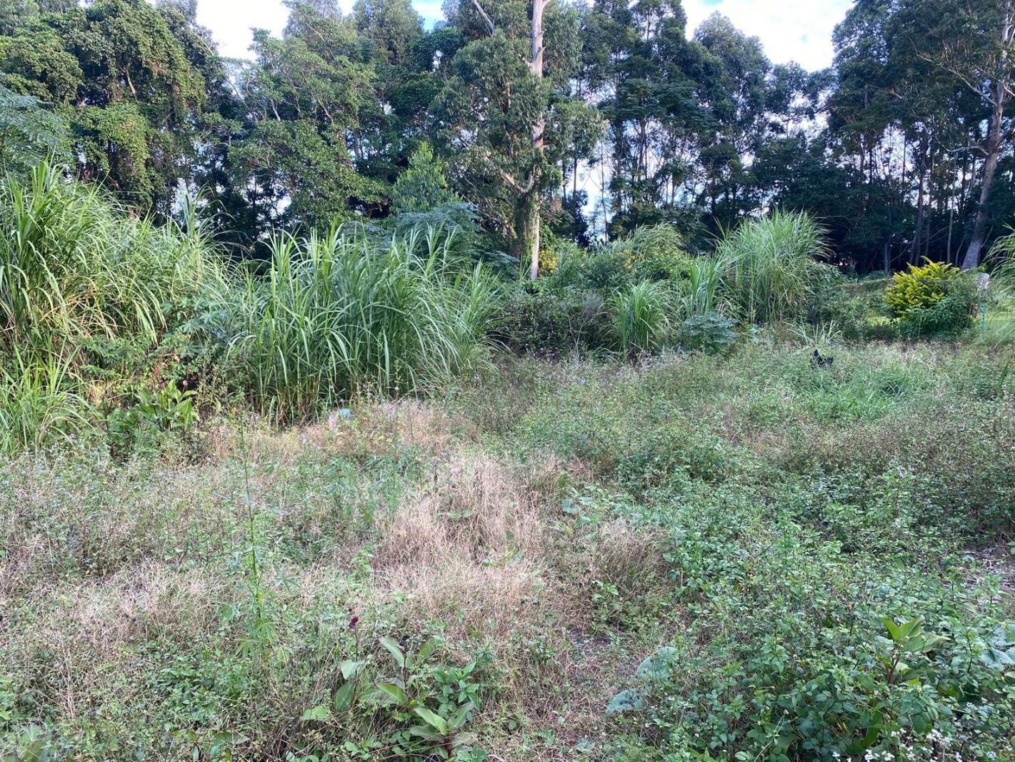 1 128 m² Land available in Margate