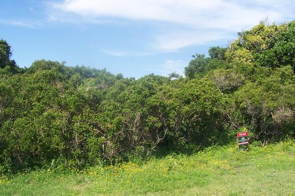 747 m² Land available in Boknesstrand