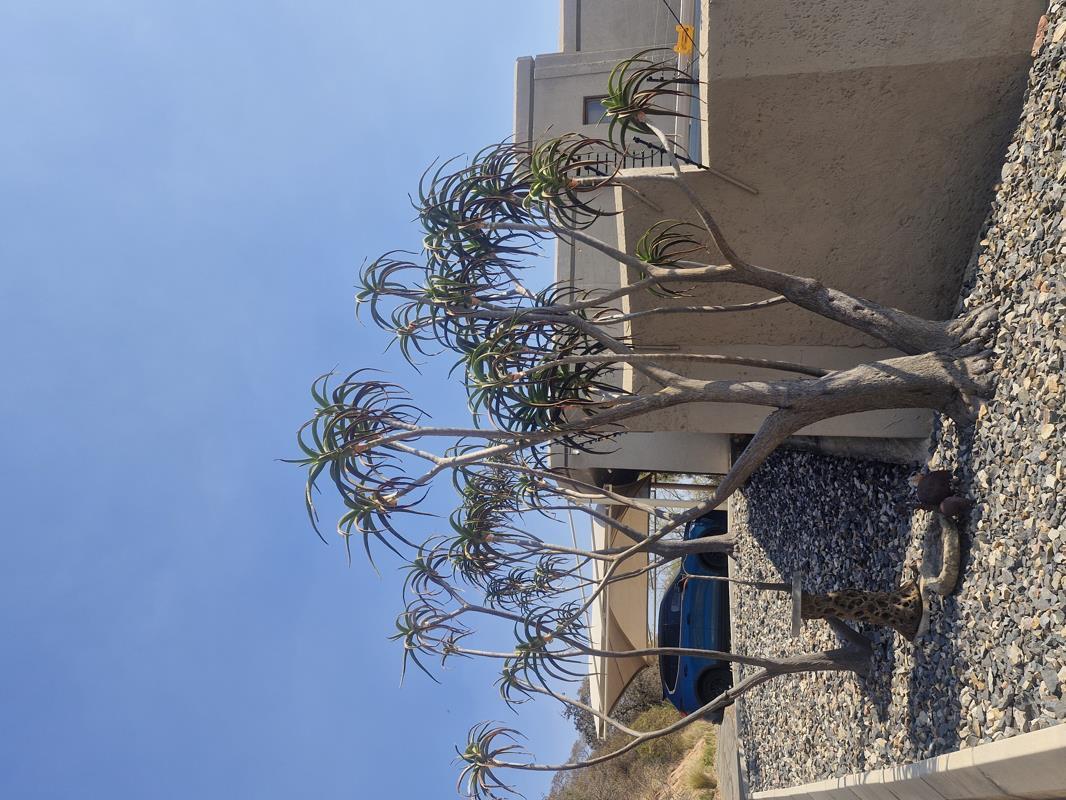 3 Bedroom Townhouse in Wonderboom