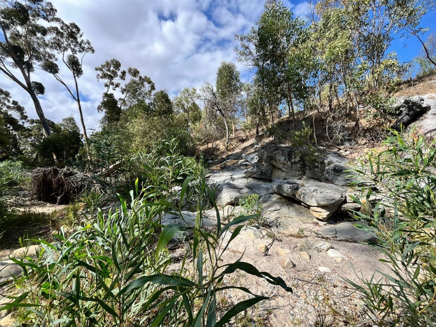 3 119 m² Land available in Napier
