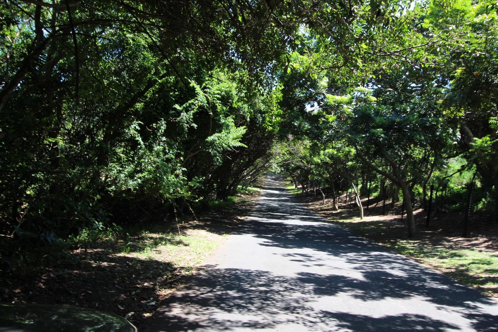 800 m² Land available in Princes Grant Golf Estate