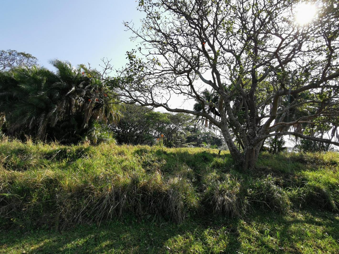 1 894 m² Land available in Port Edward