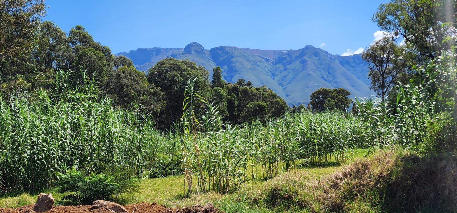 1 404 m² Land available in Swellendam