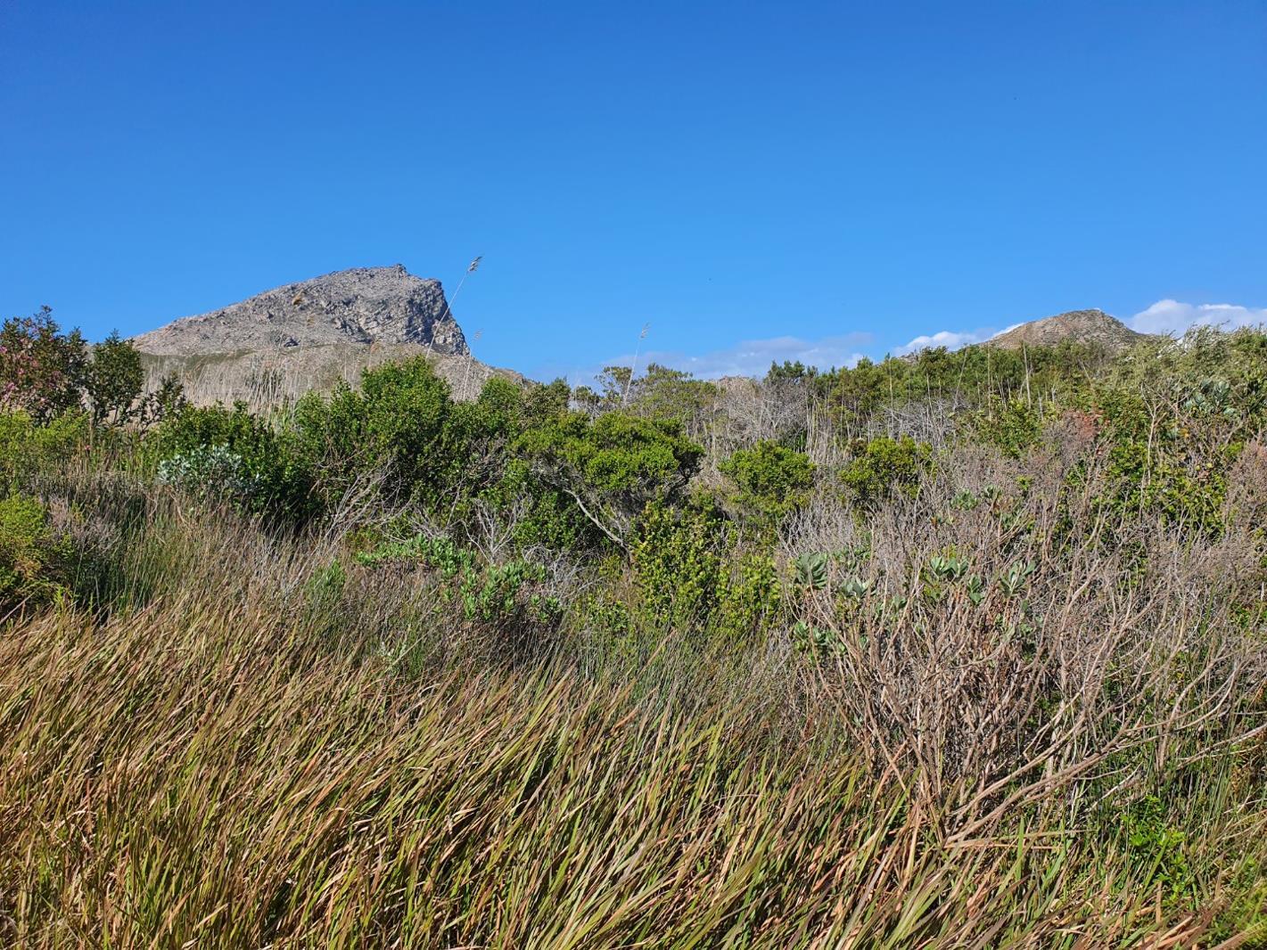 1 059 m² Land available in Pringle Bay