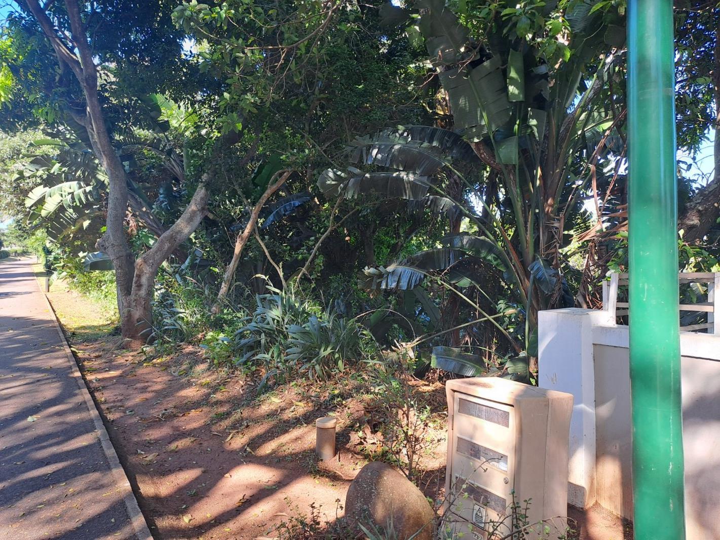 1 118 m² Land available in Kelso