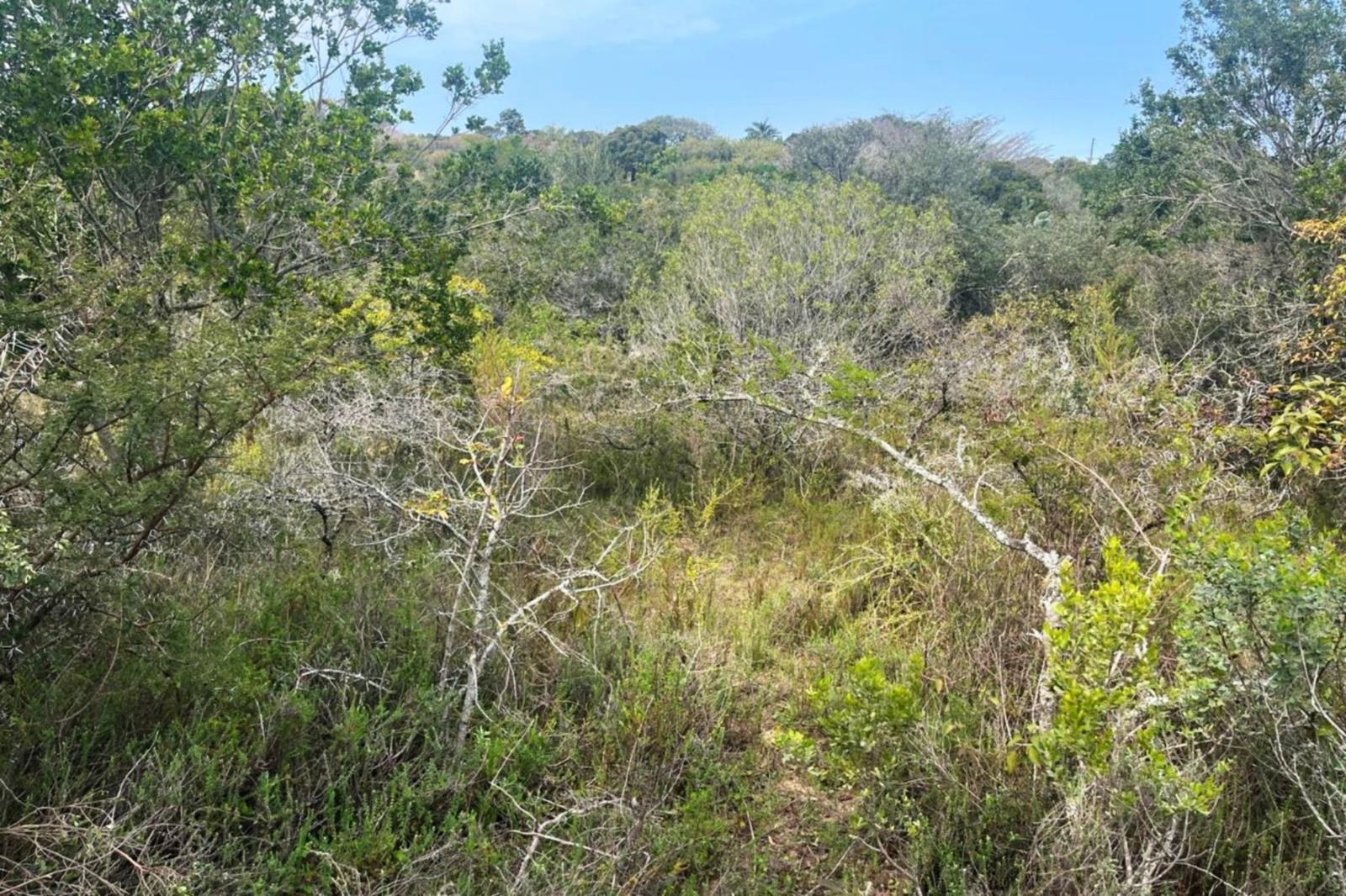 4 722 m² Land available in Bathurst and Surrounds