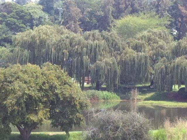 2 Bedroom Apartment in Randpark Ridge