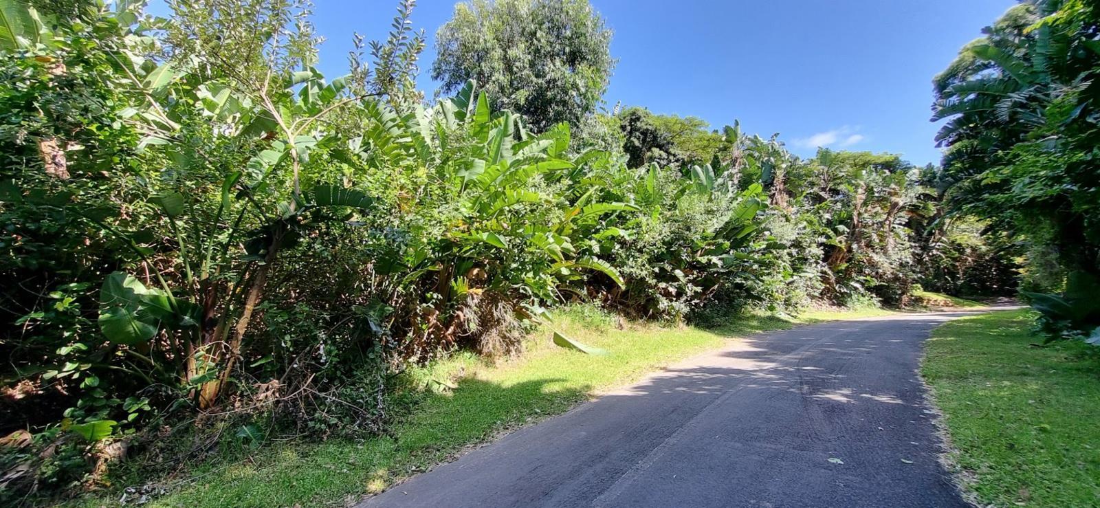 1 315 m² Land available in Trafalgar
