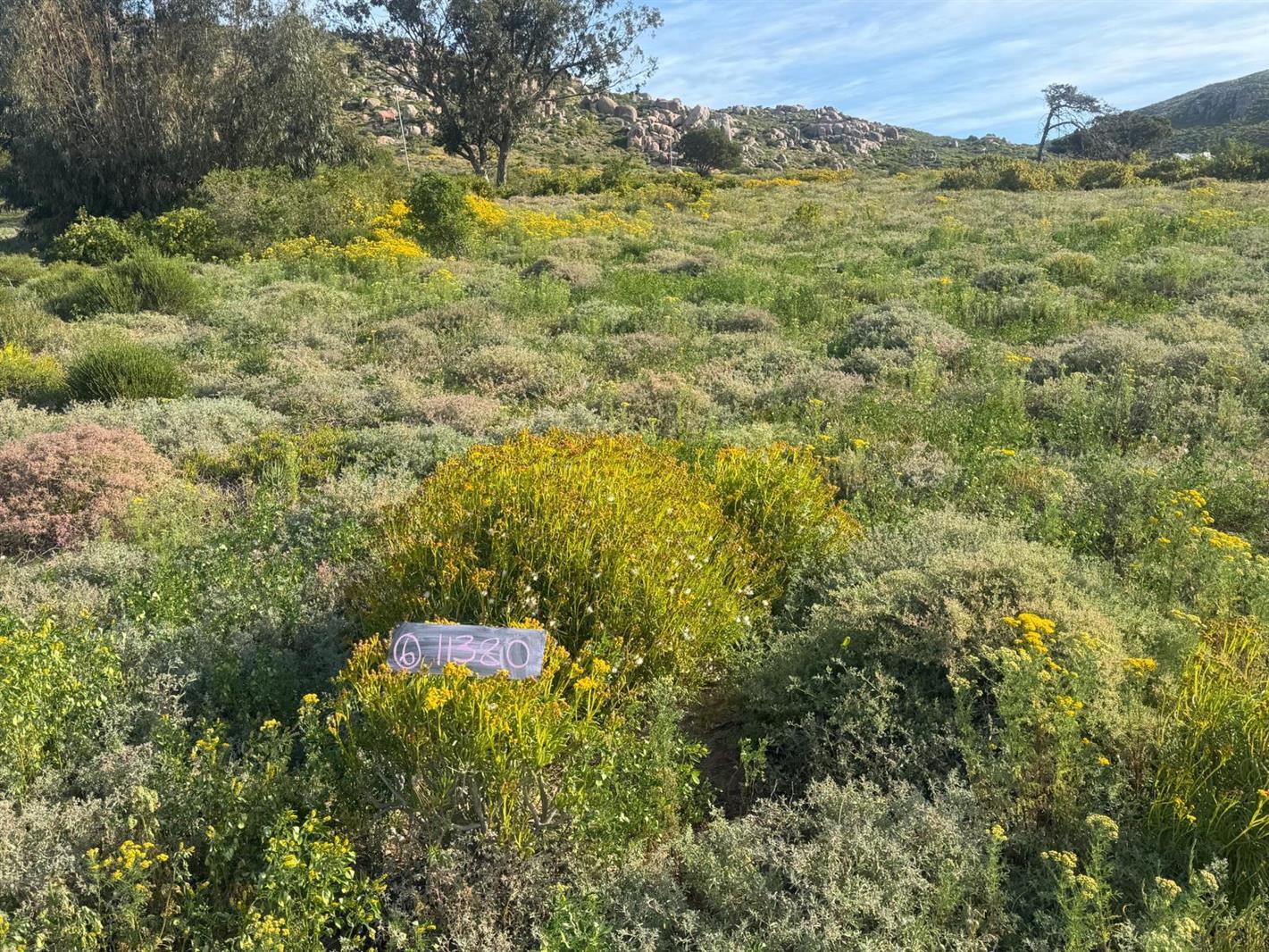 431 m² Land available in St Helena Views