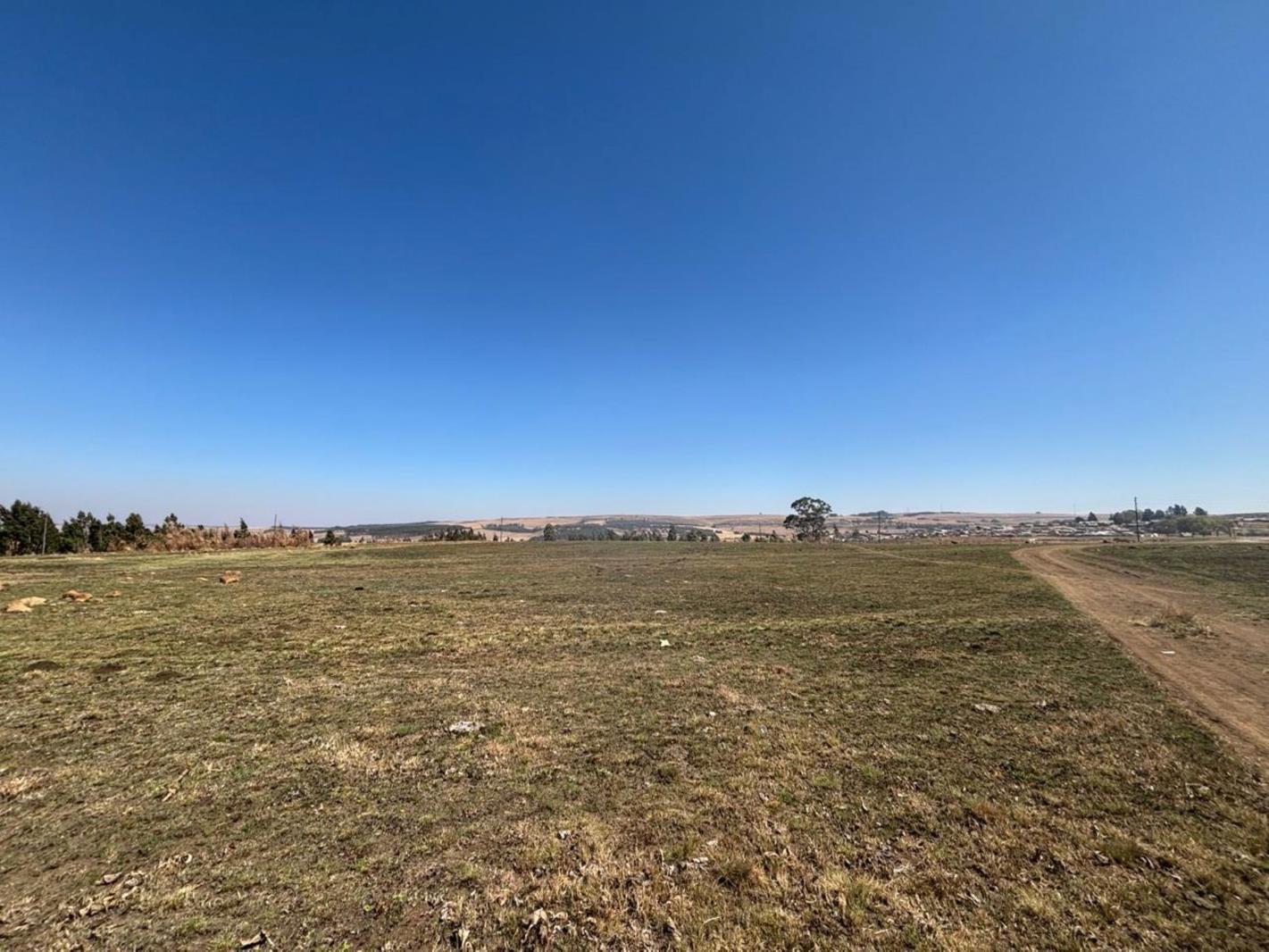 5 948 m² Land available in Dullstroom