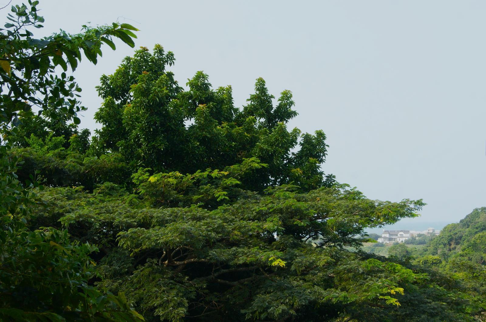 646 m² Land available in Princes Grant Golf Estate