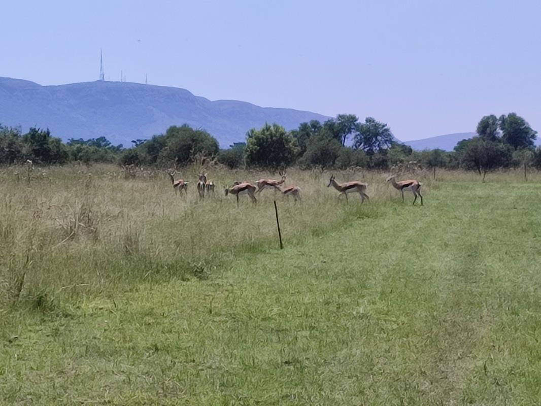 1 433 m² Land available in Melodie