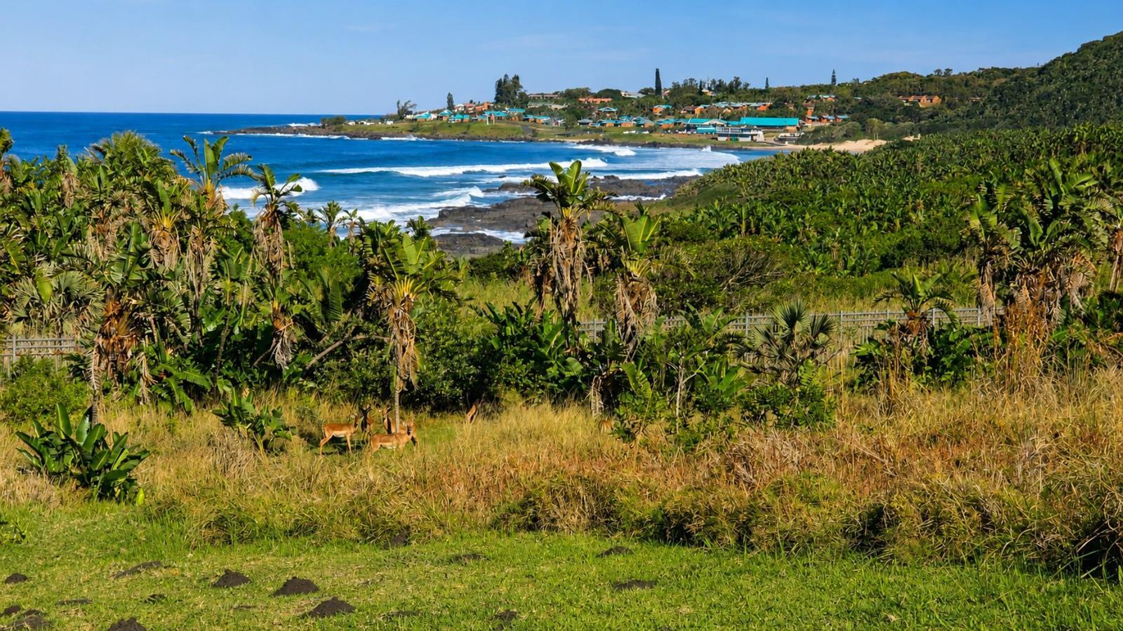 1 619 m² Land available in Port Edward