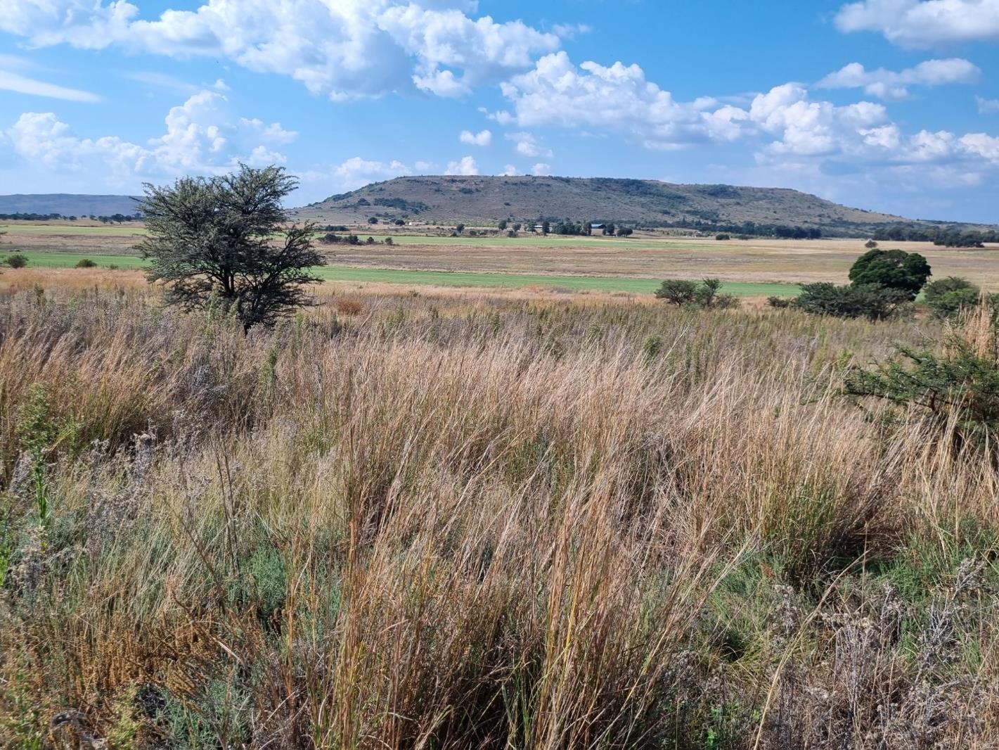 1.1 ha Land available in Walkerville