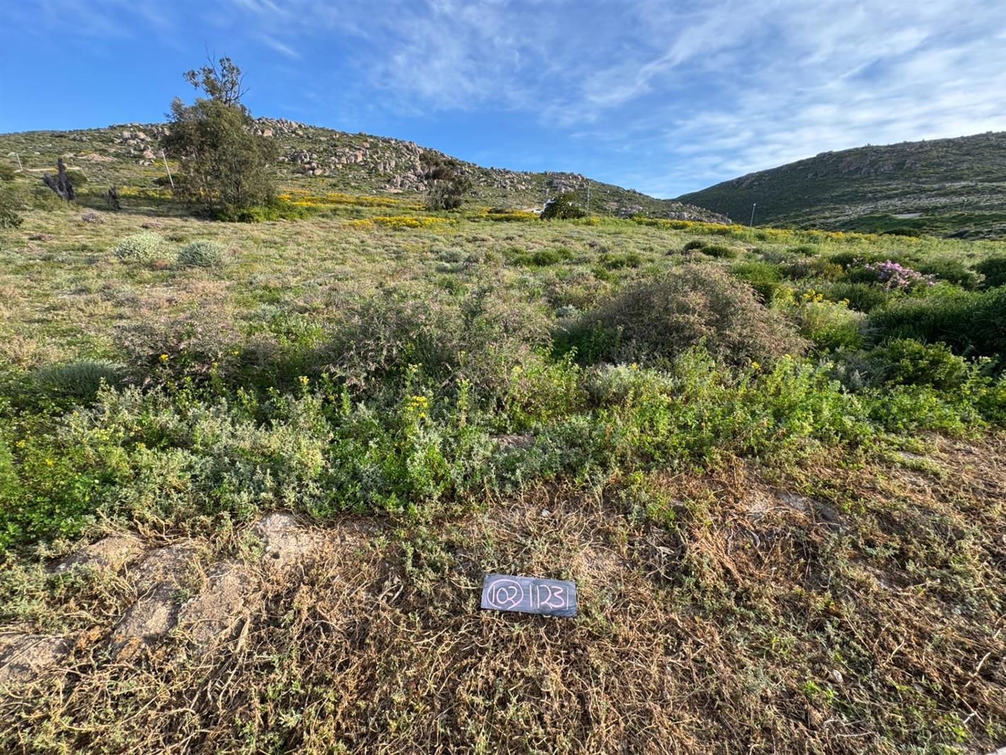 450 m² Land available in St Helena Views