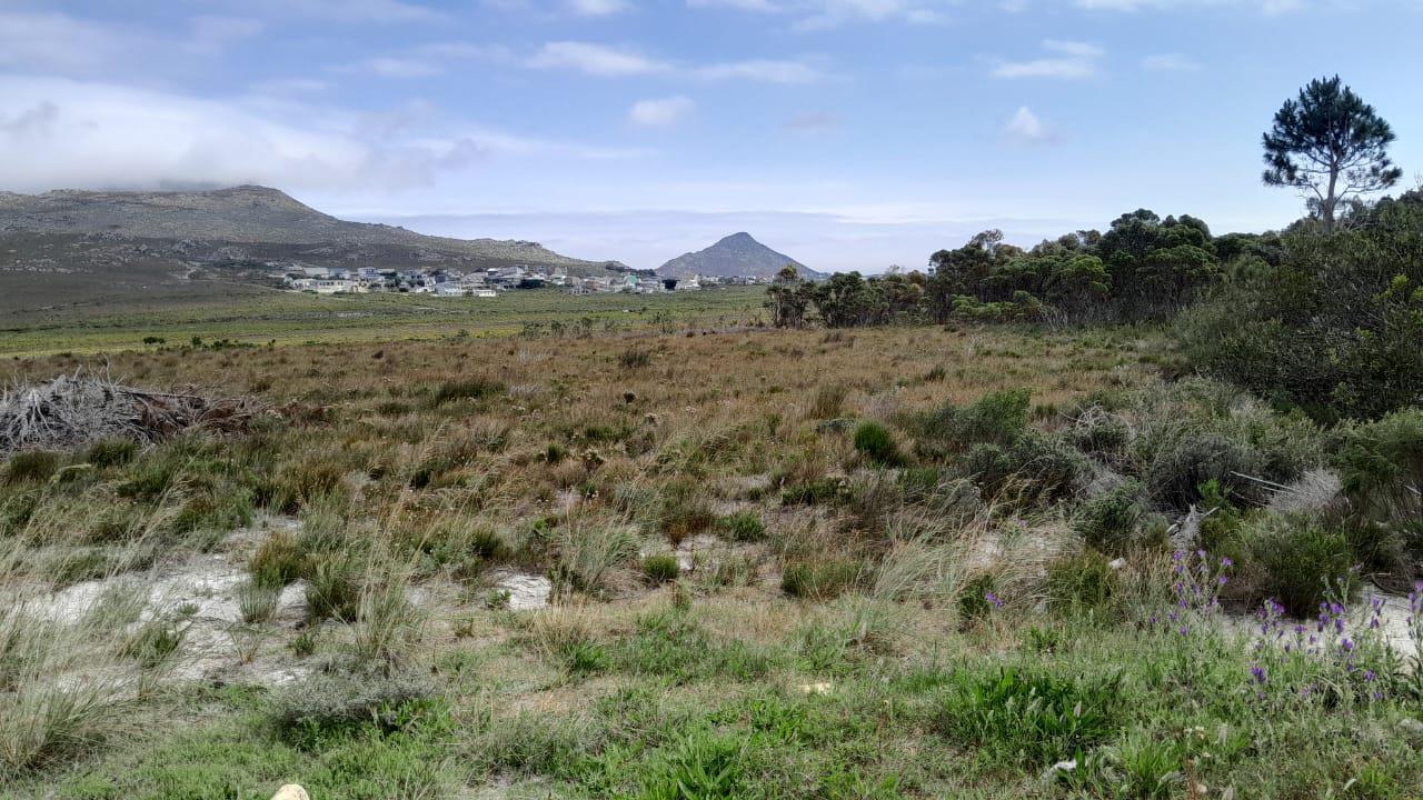 8.6 ha Land available in Pringle Bay