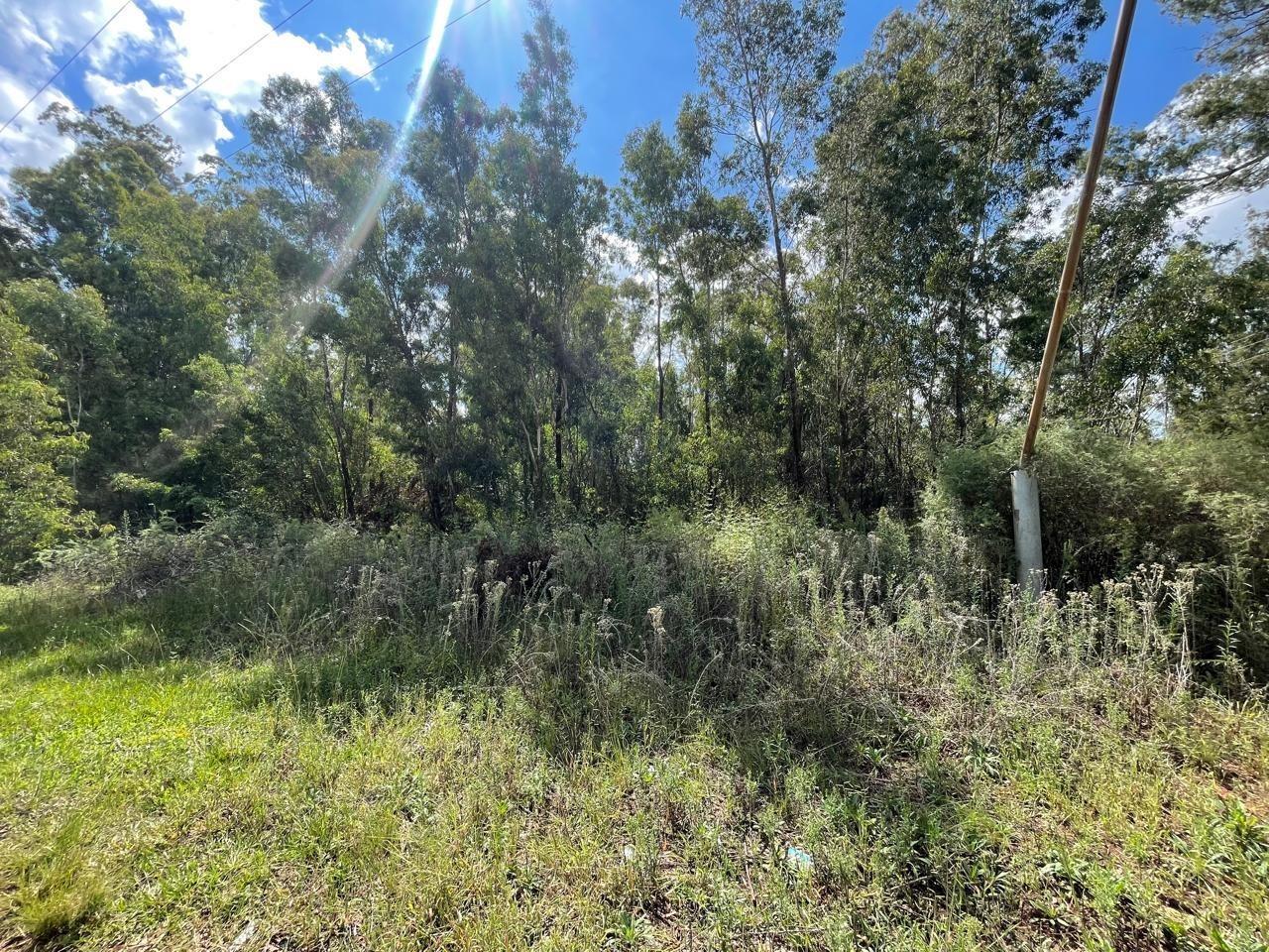 2.3 ha Land available in Walkerville