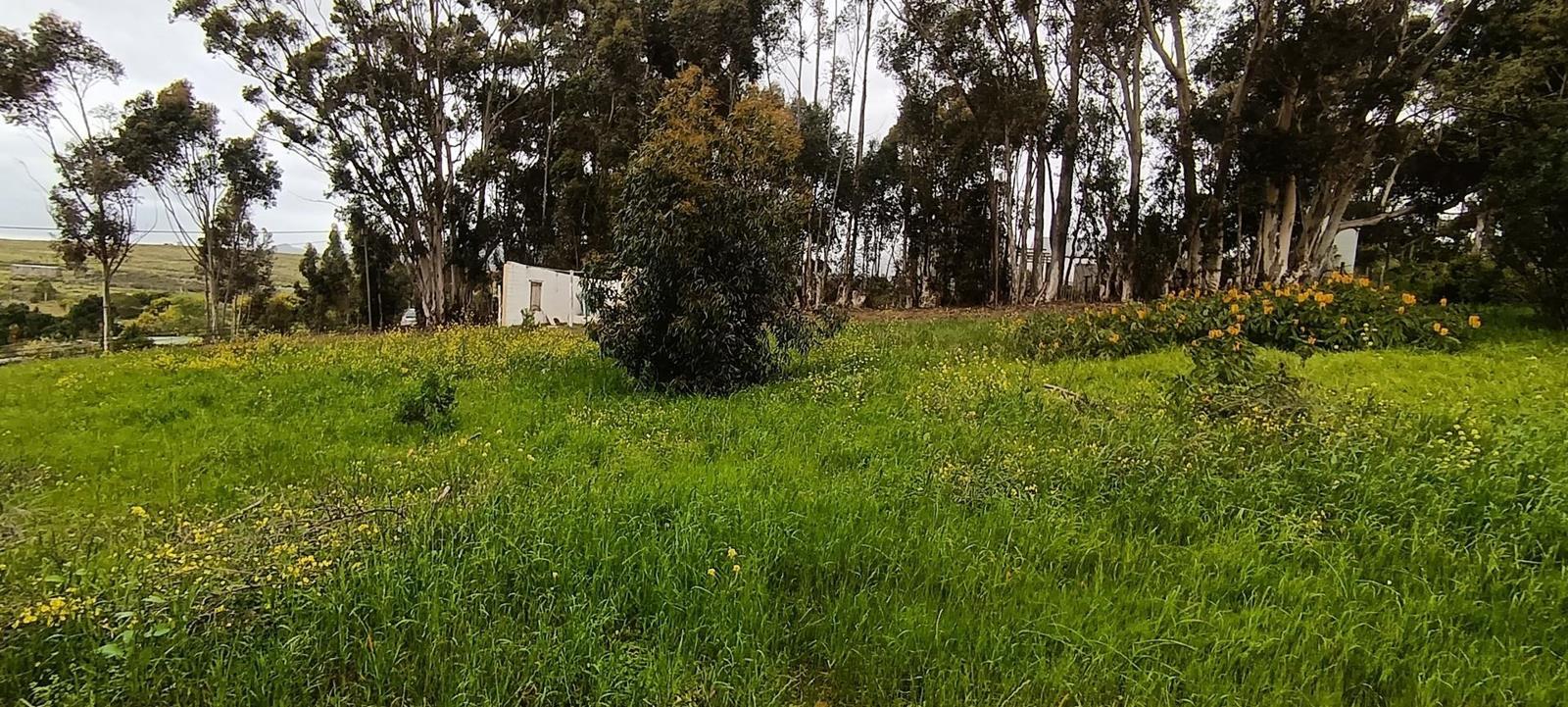 2 231 m² Land available in Napier