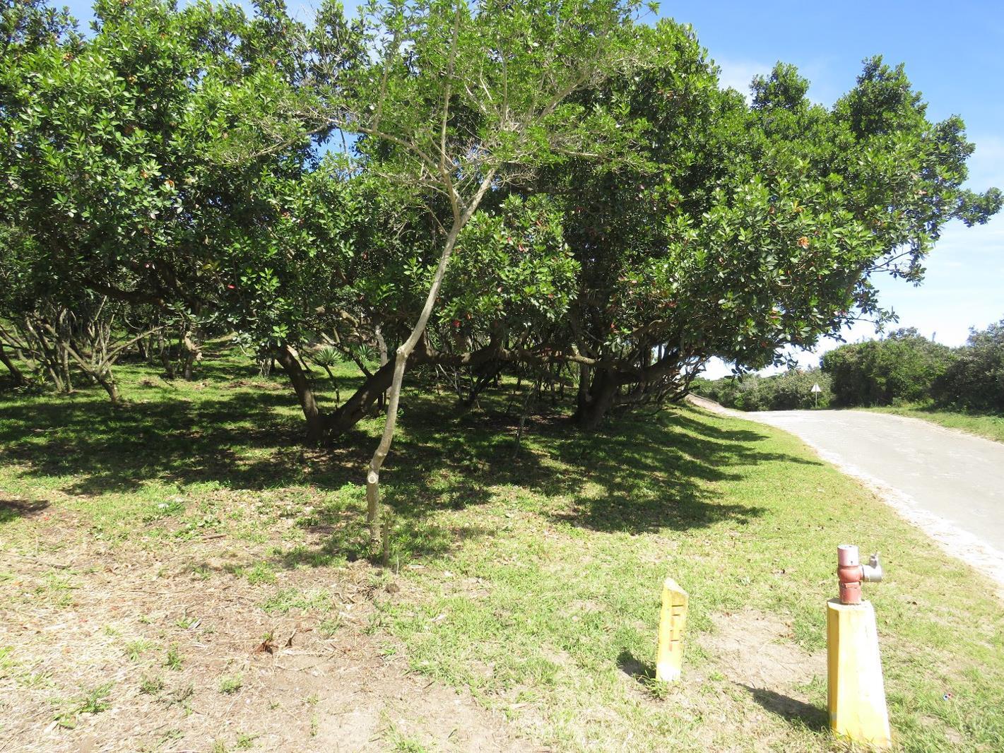 1 753 m² Land available in West Bank