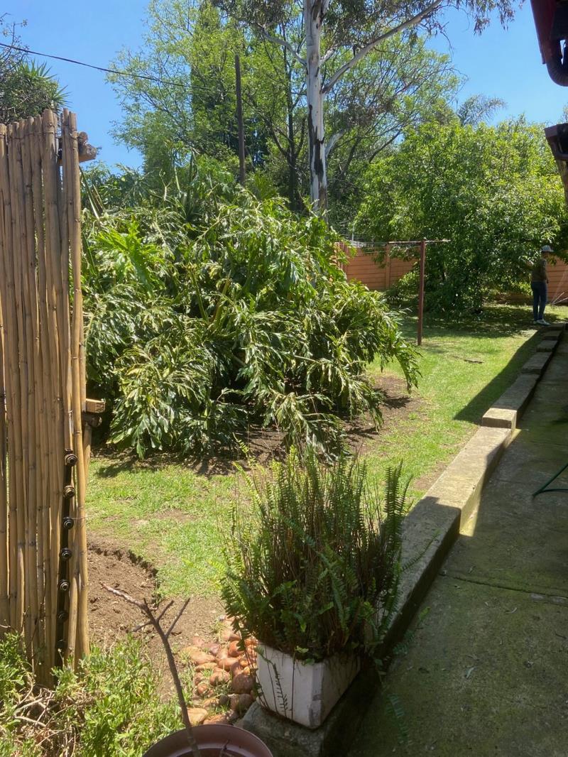 3 Bedroom House in Illiondale