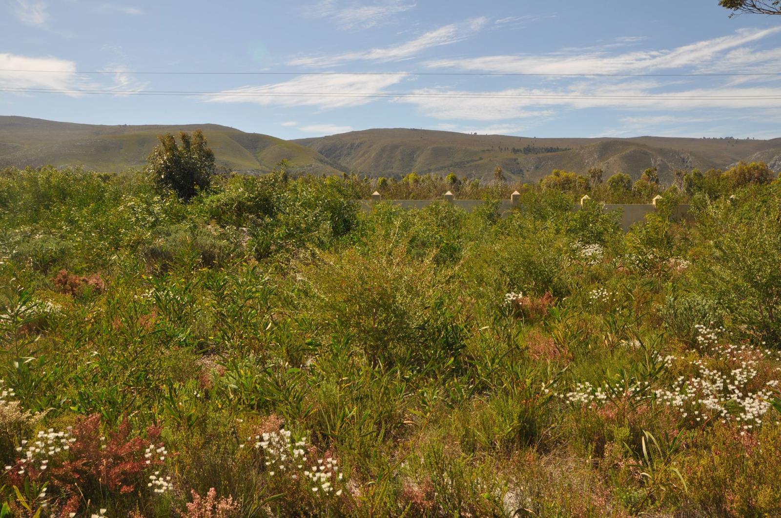 984 m² Land available in Franskraal