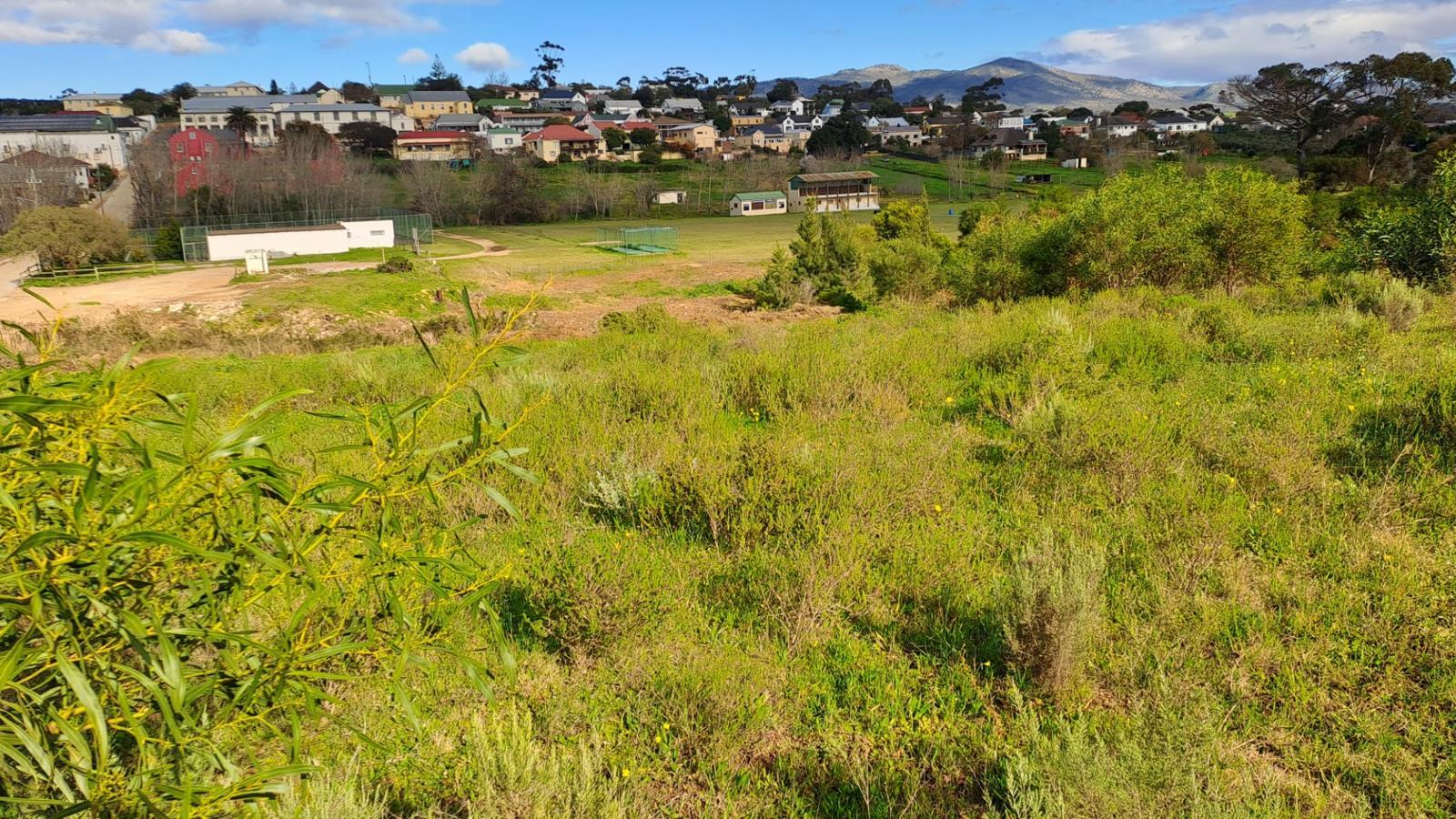 804 m² Land available in Napier