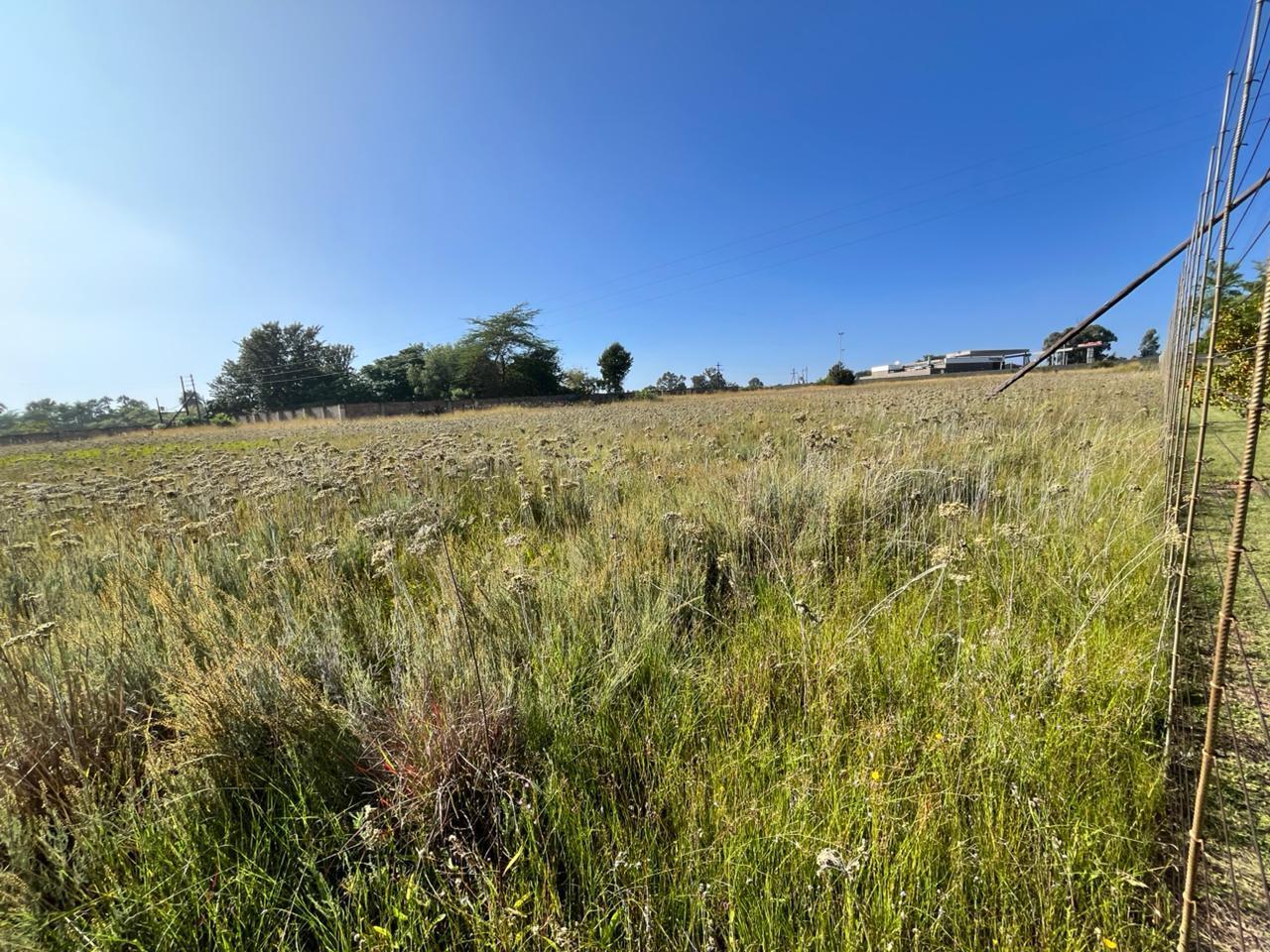 1 ha Land available in Knopjeslaagte