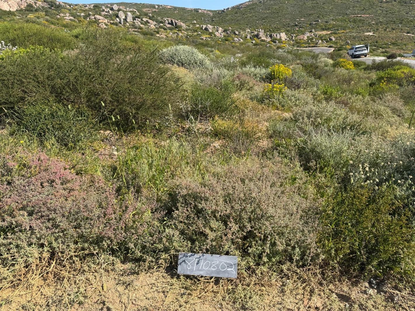 268 m² Land available in St Helena Views