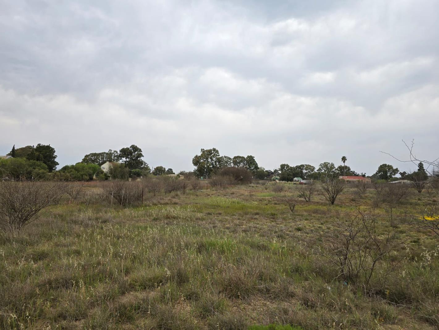 4 458 m² Land available in Nieuwoudtville