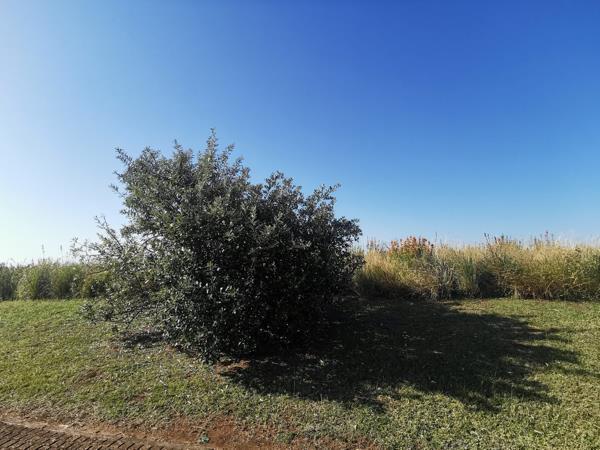 1 646 m² Land available in Port Edward