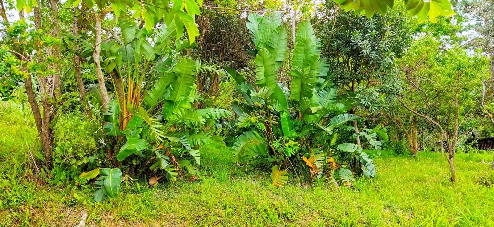 1 505 m² Land available in Ramsgate