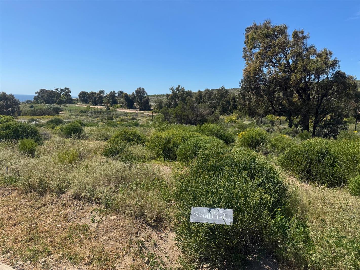 536 m² Land available in St Helena Views
