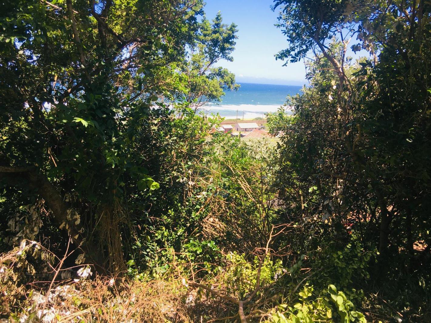 1 110 m² Land available in Kelso