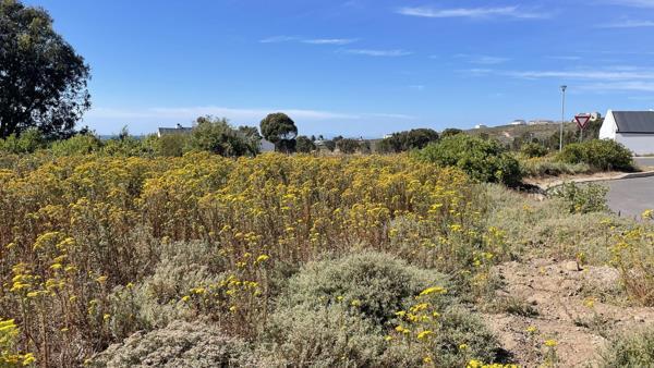 480 m² Land available in St Helena Views