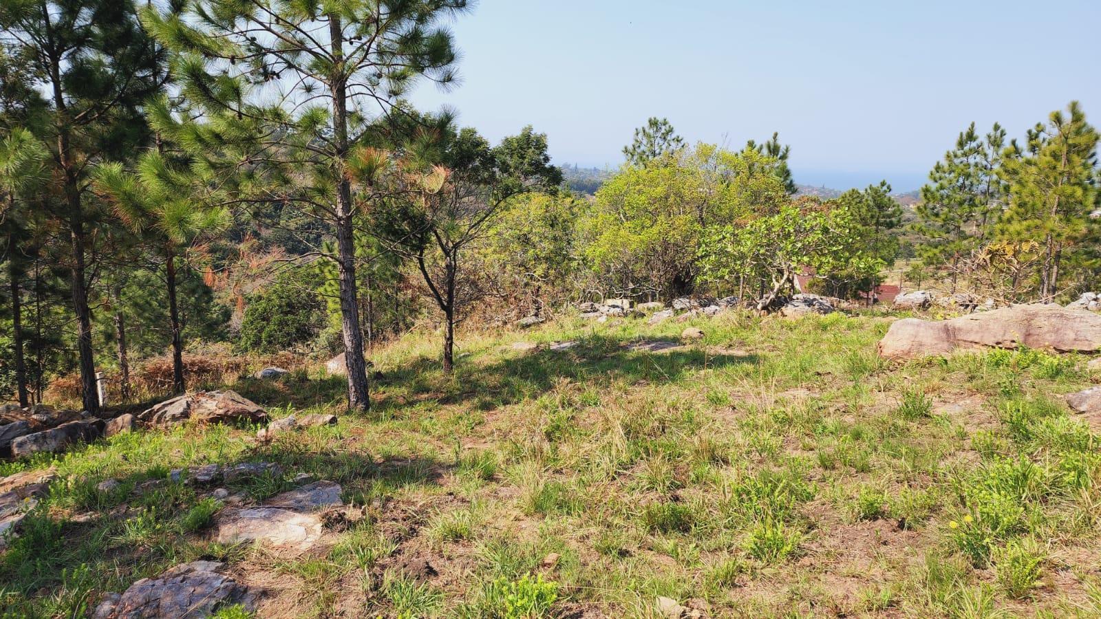 1 781 m² Land available in Margate