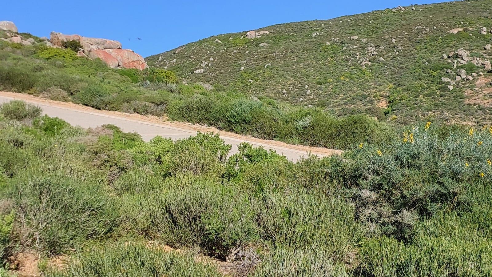 461 m² Land available in St Helena Views