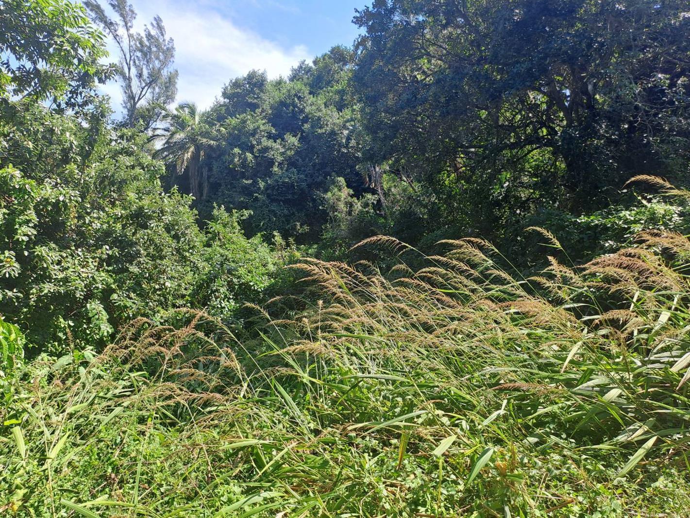 1 170 m² Land available in Kelso