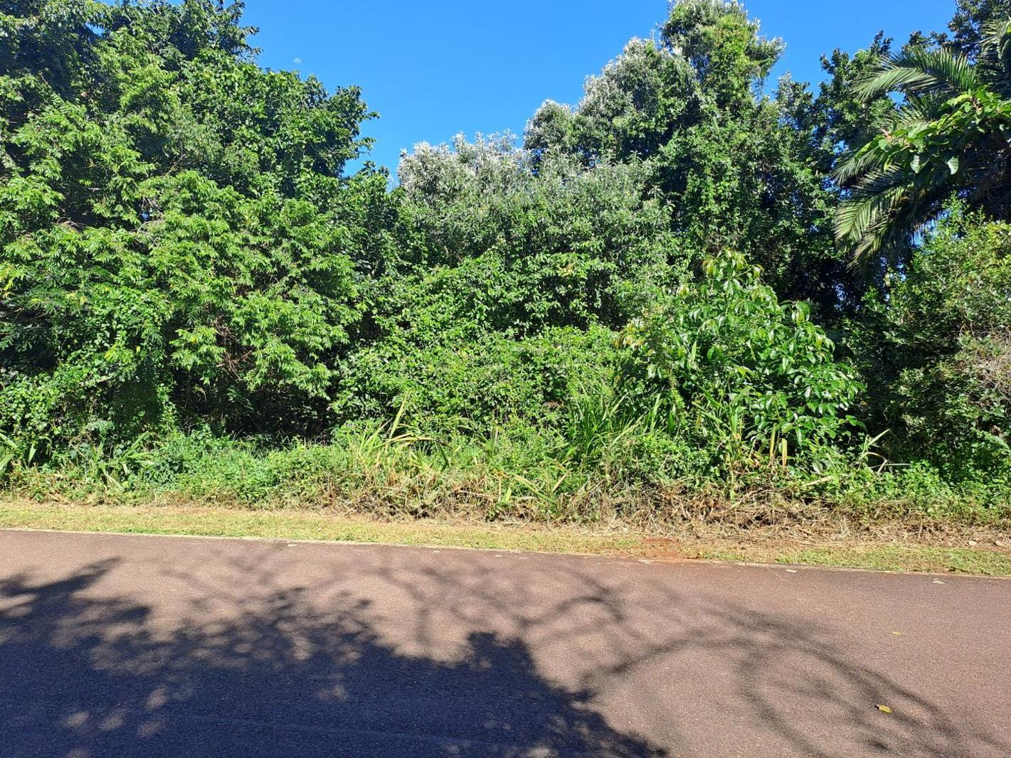 1 115 m² Land available in Kelso