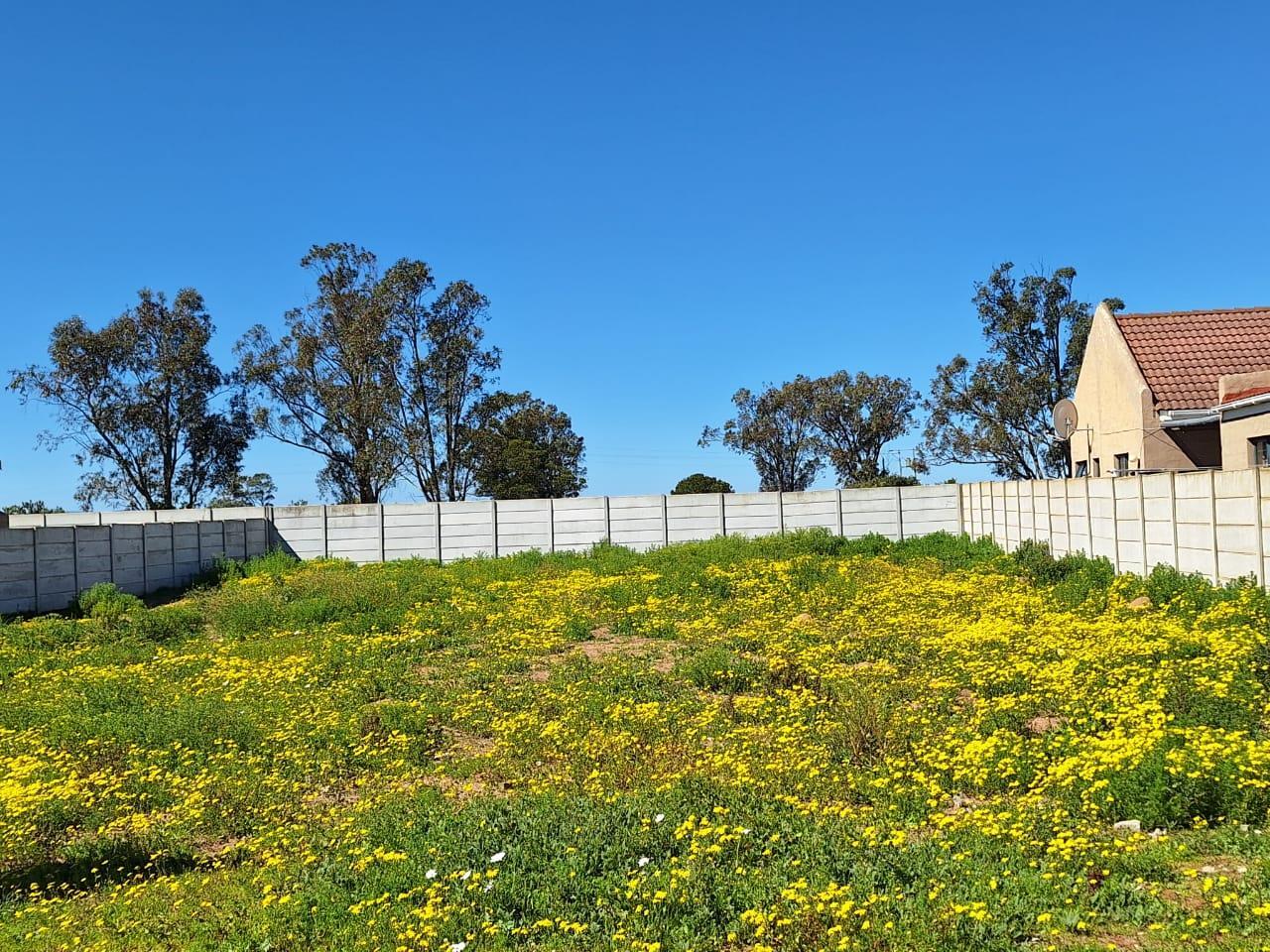 540 m² Land available in Port Owen