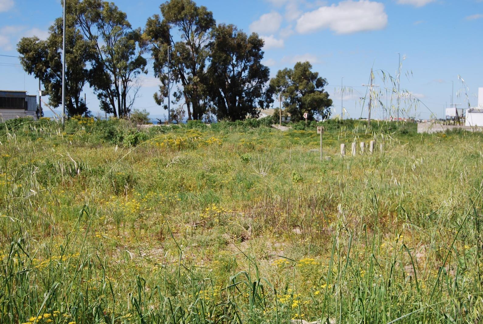 647 m² Land available in St Helena Bay