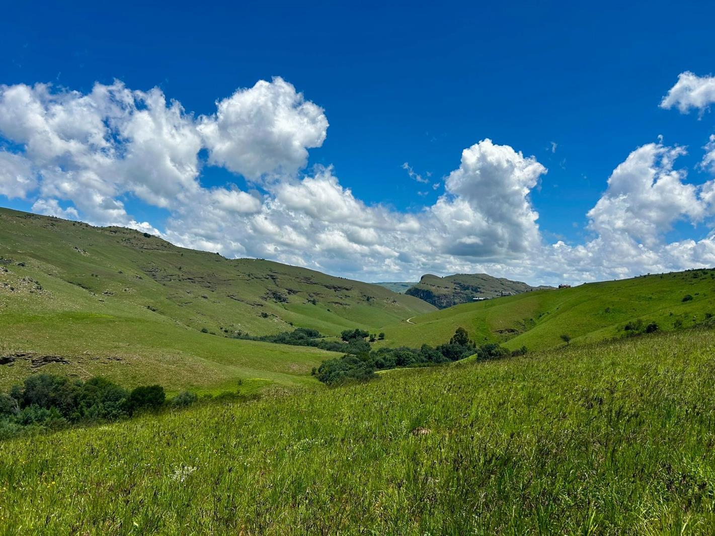 1 588 m² Land available in Dullstroom