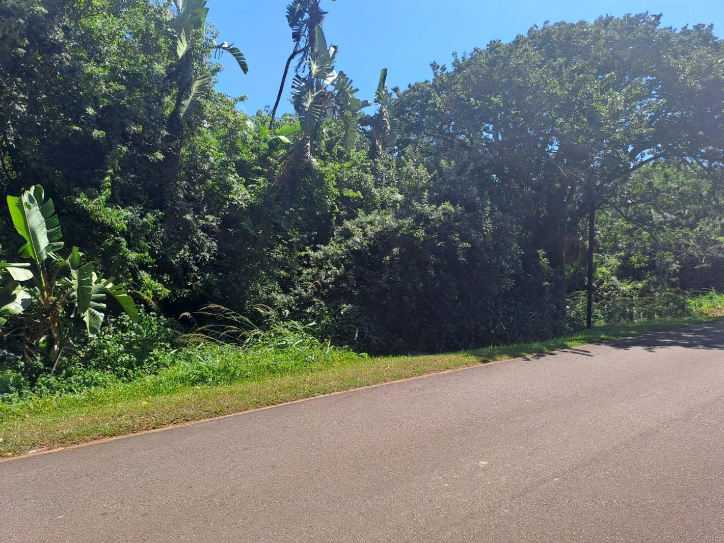 1 485 m² Land available in Kelso