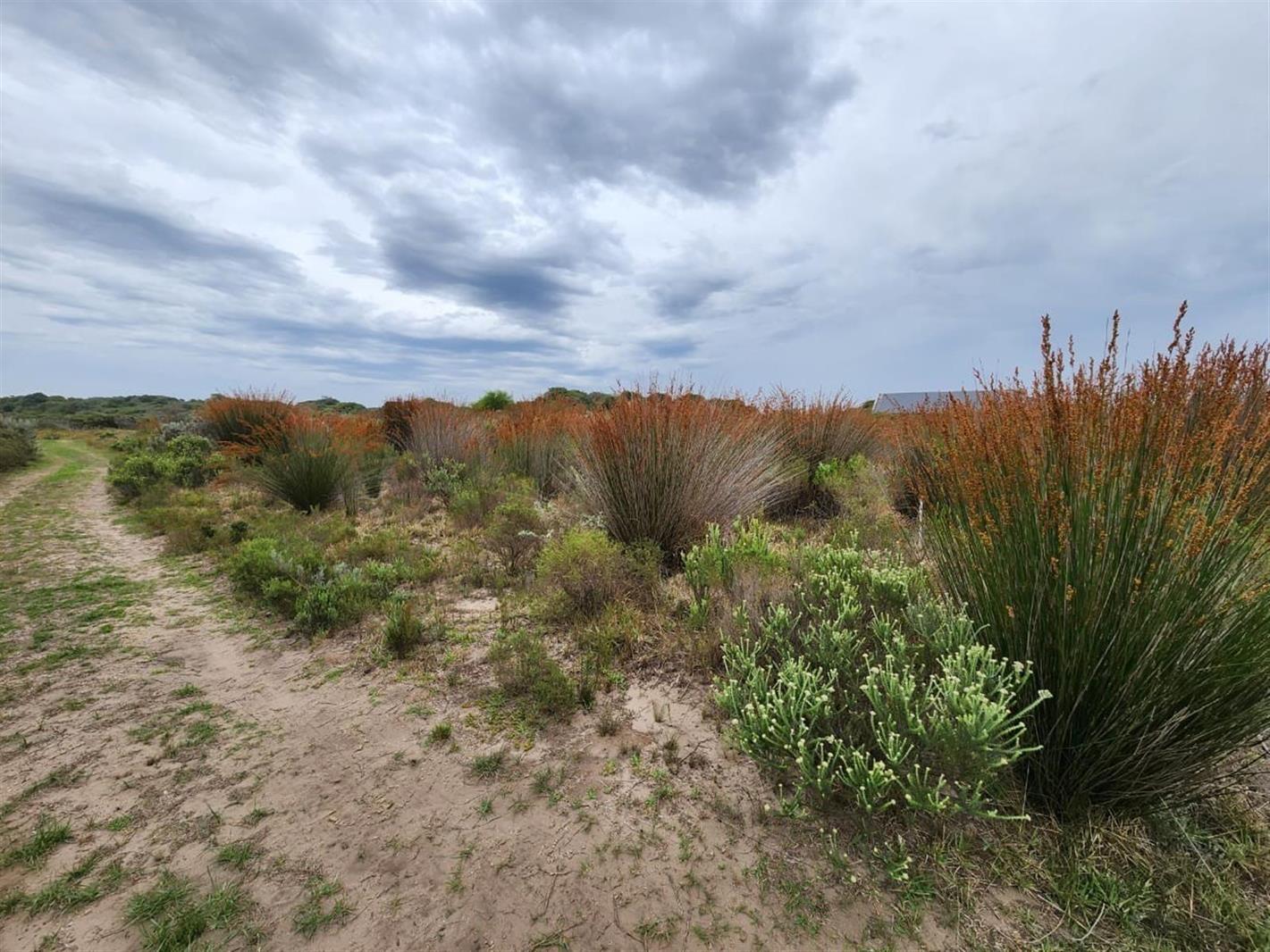 1 108 m² Land available in St Francis Links