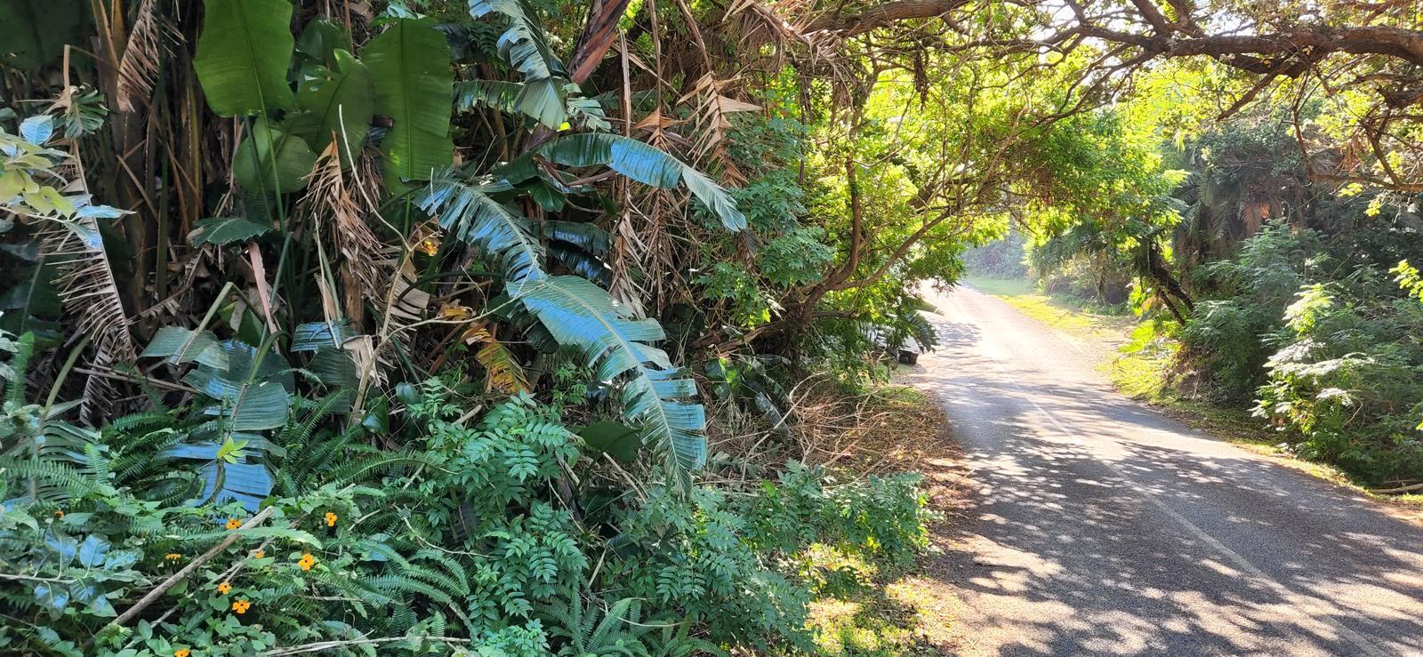 1 020 m² Land available in Leisure Bay