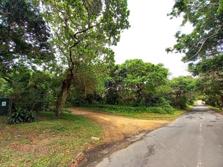 960 m² Land available in Palm Beach