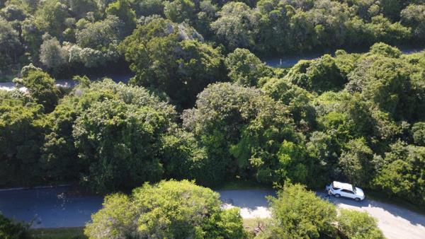 1 183 m² Land available in Wilderness
