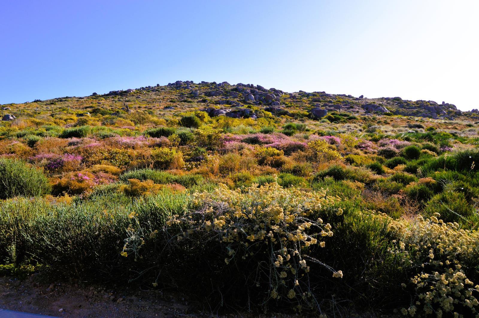 365 m² Land available in St Helena Bay